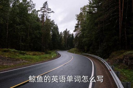 鯨魚的英語單詞怎么寫