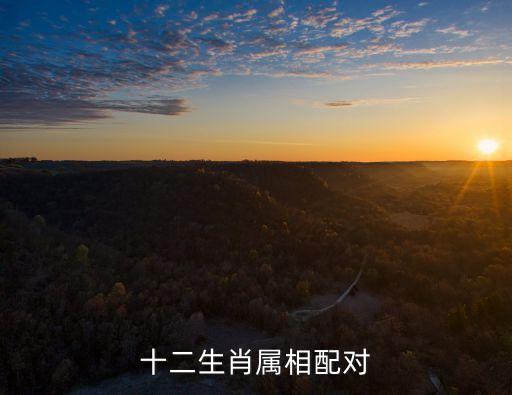 十二生肖婚姻配對，十二生肖屬相配對