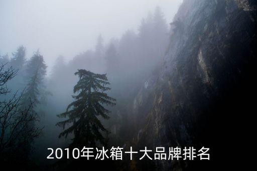 2010年冰箱十大品牌排名