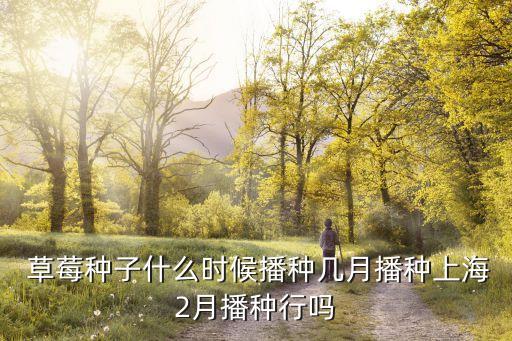 四季草莓種苗,草莓種植方法和技術1一般春秋季為宜