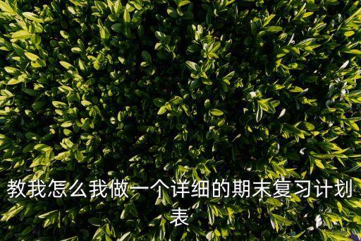 復習計劃表，教我怎么我做一個詳細的期末復習計劃表