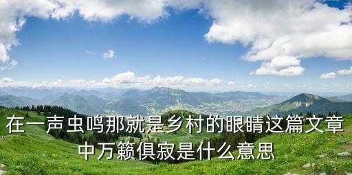 萬籟俱寂的意思，在一聲蟲鳴那就是鄉村的眼睛這篇文章中萬籟俱寂是什么意思
