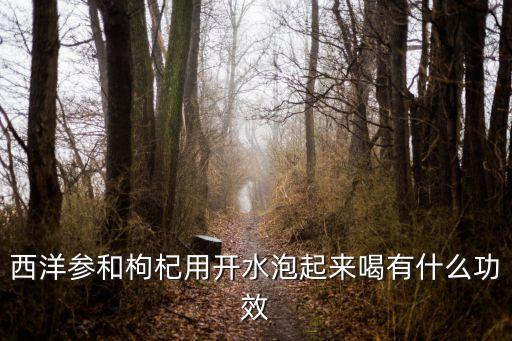 枸杞西洋參泡水喝的功效，枸杞西洋參在一起喝有什么作用