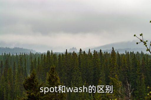  spot和wash的區別