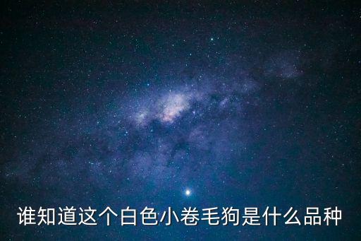 白色的狗，有白色的拉布拉多嗎