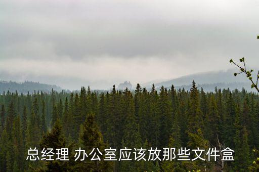 總經理辦公室,總經理辦公室應該是這樣的