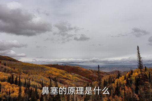 鼻塞的原理是什么