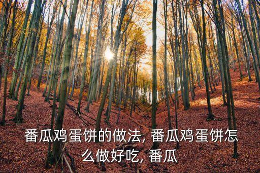  番瓜雞蛋餅的做法, 番瓜雞蛋餅怎么做好吃, 番瓜