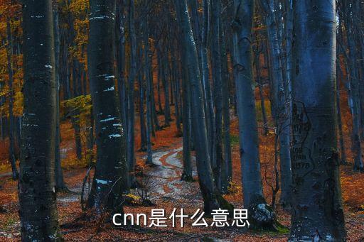 國際新聞網，中國國際新聞網的簡介