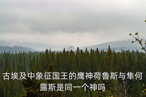 古埃及中象征國王的鷹神荷魯斯與隼何露斯是同一個神嗎