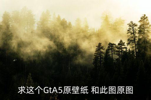 求這個GtA5原壁紙 和此圖原圖
