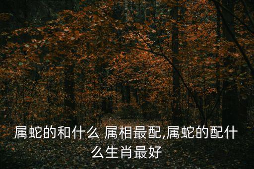 蛇屬相,屬蛇屬猴的人天生一對(duì)你和誰配?