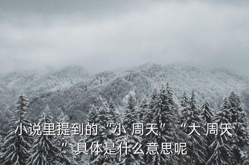 小說里提到的“小 周天”“大 周天”具體是什么意思呢