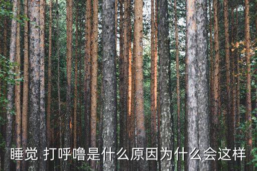 打呼嚕是怎么回事,睡覺打呼嚕怎么回事?