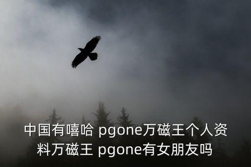 中國有嘻哈 pgone萬磁王個人資料萬磁王 pgone有女朋友嗎