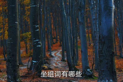 坐組詞有哪些