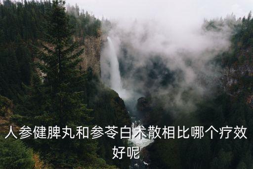 參苓白術(shù)散功效，吃參苓白術(shù)丸對我的癥狀有用嗎要吃多久