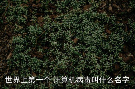 計算機病毒之父,全球首例計算機病毒一年之內(nèi)傳遍全球