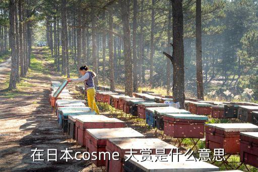 cosme大賞，在日本cosme 大賞是什么意思