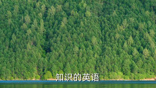 知識的英語