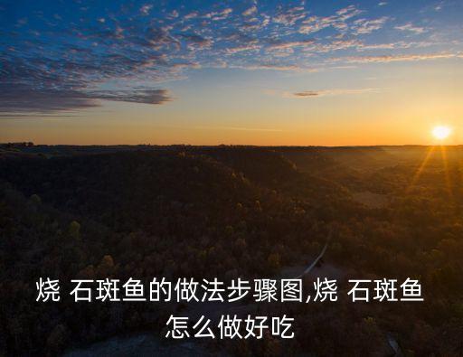 燒 石斑魚的做法步驟圖,燒 石斑魚怎么做好吃