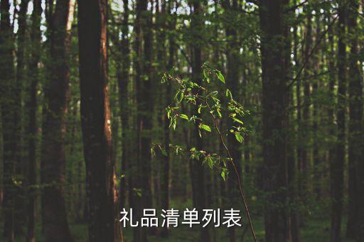 禮物清單，禮品清單列表