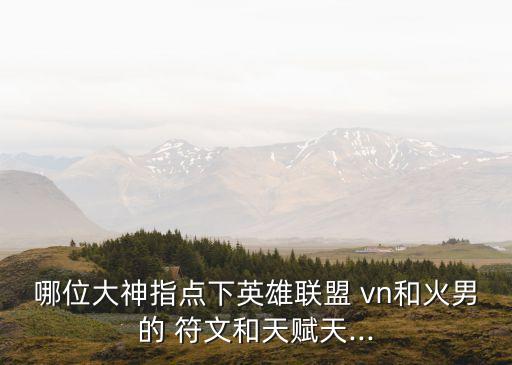 哪位大神指點下英雄聯盟 vn和火男的 符文和天賦天...