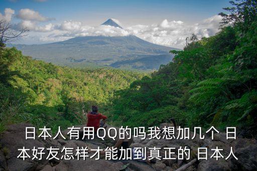 日本版qq,日本網絡策劃不錯建議你用msn聊天