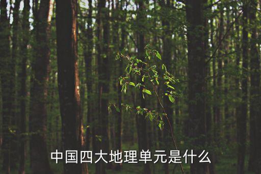 地理單元，四大地理單元
