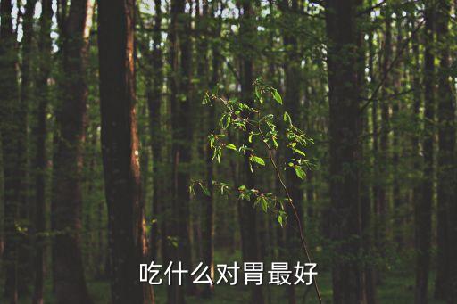 吃啥對(duì)胃好，吃哪些食物對(duì)胃好