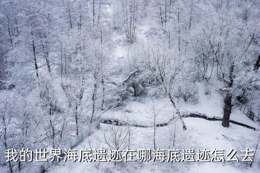 我的世界海底遺跡在哪海底遺跡怎么去
