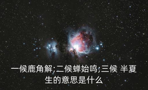 半夏生,夏至到了什么時候?