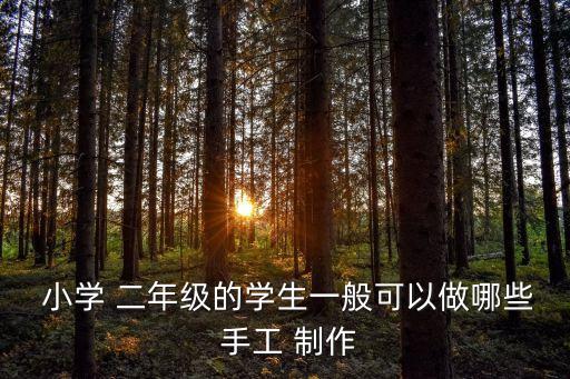  小學 二年級的學生一般可以做哪些 手工 制作