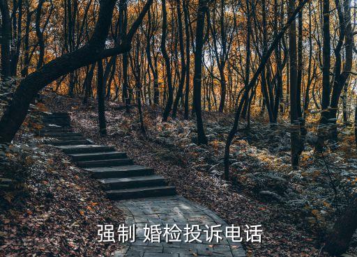  強制 婚檢投訴電話