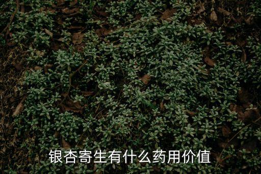 銀杏寄生有什么藥用價值