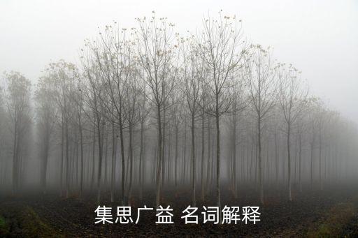 集思廣益，集思廣益 名詞解釋