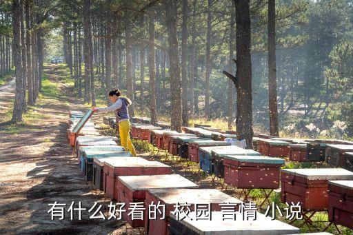 言情校園小說,《校草之死女》第二集:愛上魔鬼美少年請(qǐng)小心