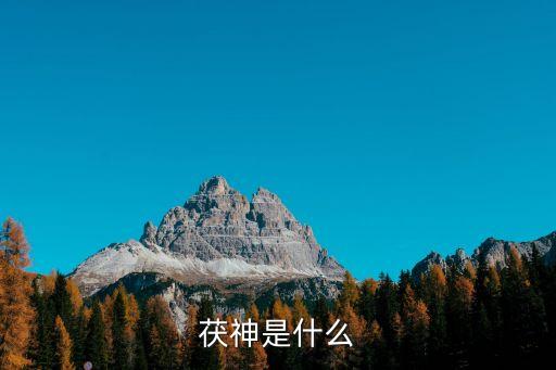 茯神的功效，茯苓是什么茯苓的功效與作用及食用方法