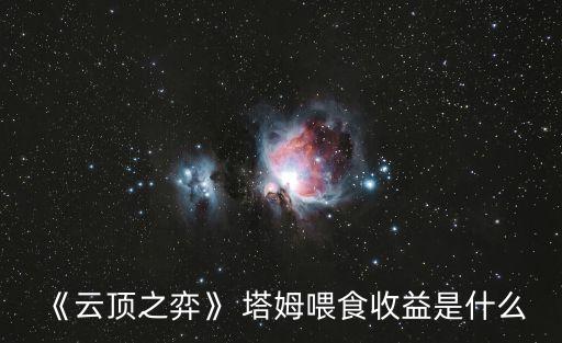 塔姆肯奇,游戲推出新功能:點擊即可查看游戲攻略