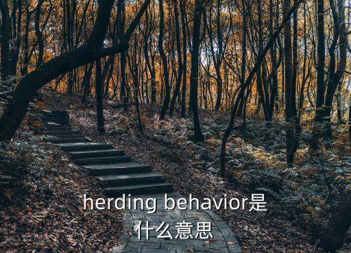 behavior是什么意思