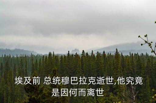  埃及前 總統穆巴拉克逝世,他究竟是因何而離世