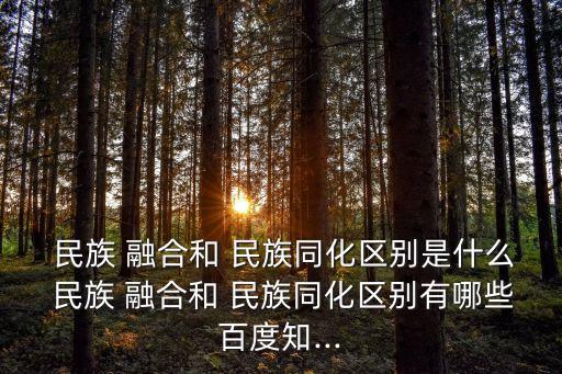  民族 融合和 民族同化區別是什么 民族 融合和 民族同化區別有哪些百度知...