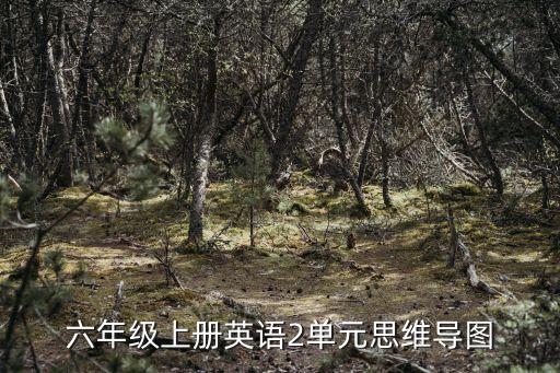 六年級上冊英語2單元思維導圖