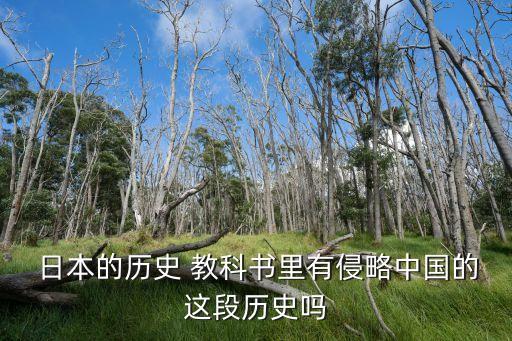 日本教科書事件,中國教科書不承認侵略日本自編教材