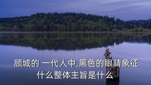 顧城一代人,一代人的黑暗時(shí)代?