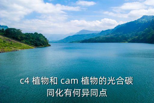 cam植物,c4植物和cam植物光合碳同化不同之處