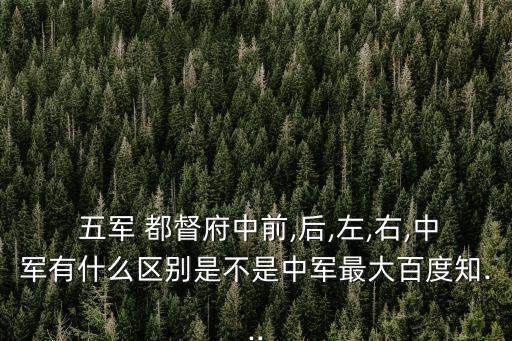  五軍 都督府中前,后,左,右,中軍有什么區別是不是中軍最大百度知...