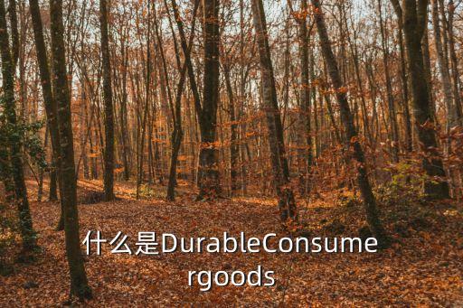 什么是DurableConsumergoods