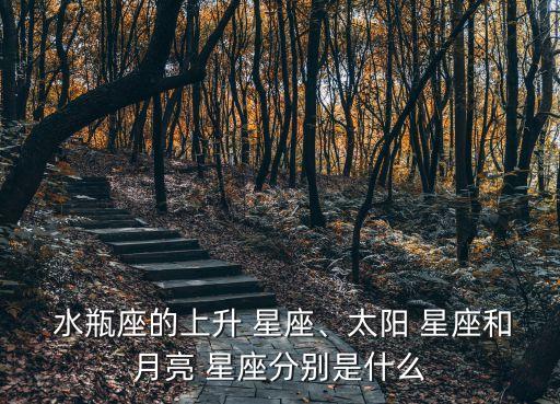 水瓶座的上升星座是什么,星來在線查詢:你的星座是哪個?
