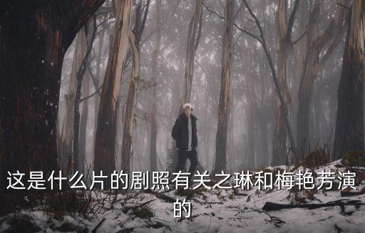 這是什么片的劇照有關之琳和梅艷芳演的